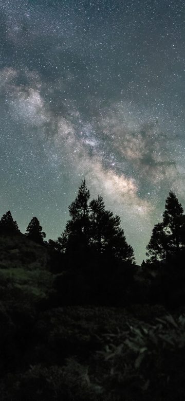 星空导航 App 新手流程图文卡界面，四步骤配编号与截图说明，页面底部有分享按钮，整体排版清爽留白
